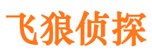 阳江市私家侦探